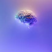 عقل الانسان